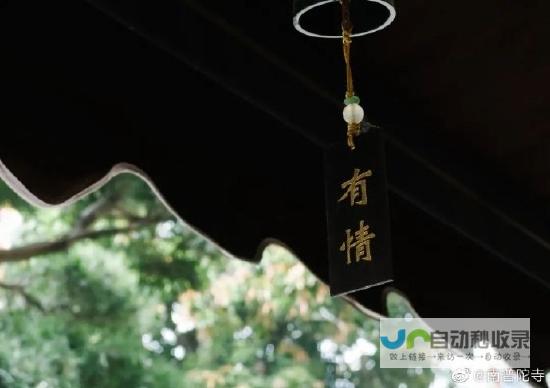 如何评价不同公司网站的设计和用户体验？