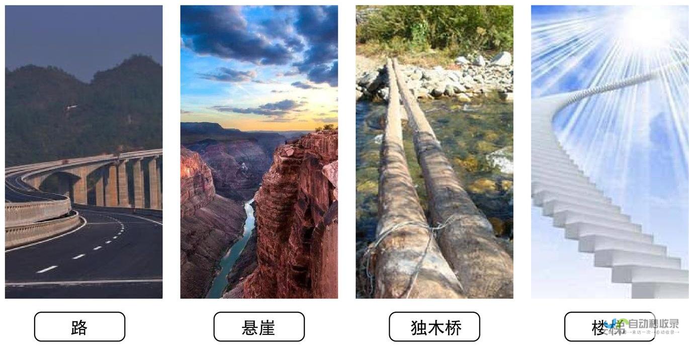 从零开始构建属于自己的网站：一个全面的指南
