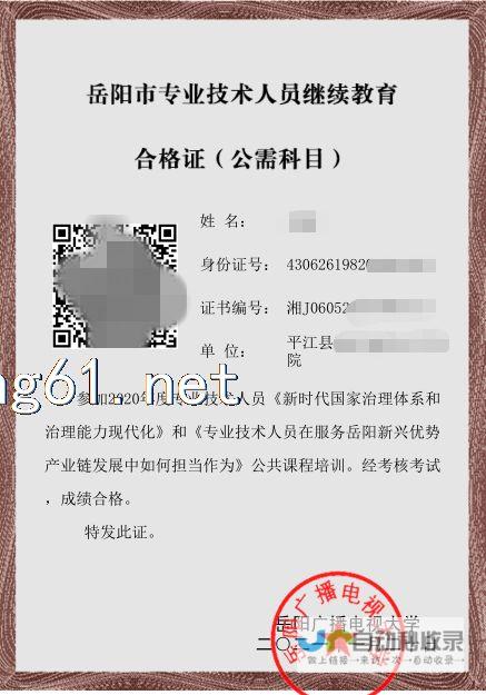 岳阳专业网站制作：从设计到开发，全方位满足您的企业网络需求